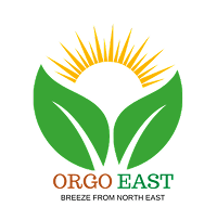 Orgo East
