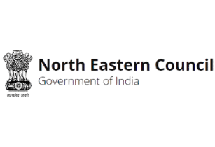 North Eastern Council Logo